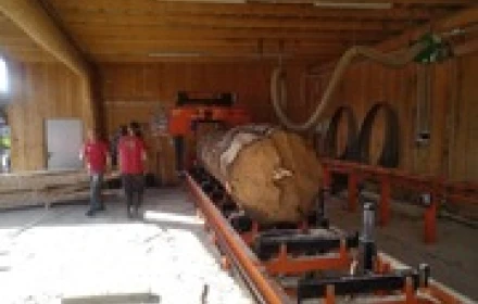 Pilarka CZ-1/WZM w akcji - 1