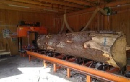 Pilarka CZ-1/WZM w akcji - 3