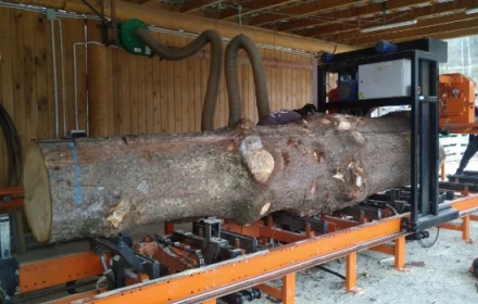 Z serii zdjęć nadesłanych przez klientów... - 2