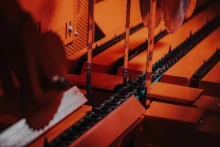 CZP-4/550 podajnik łańcuchowy